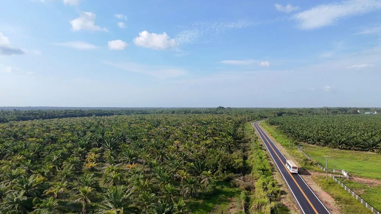 FAZENDA À VENDA - PARÁ - Foto 5