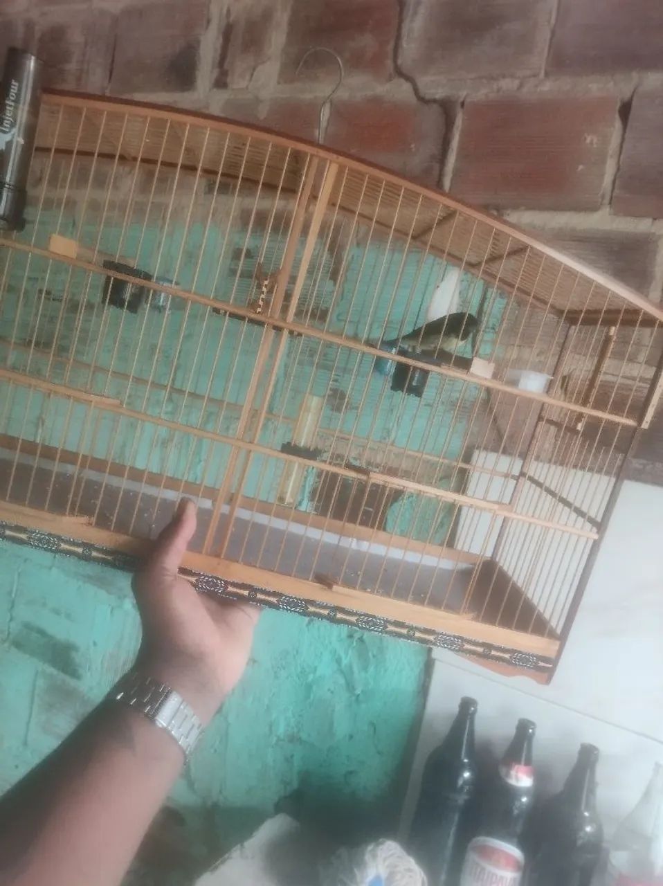 Gaiola  - Foto 2
