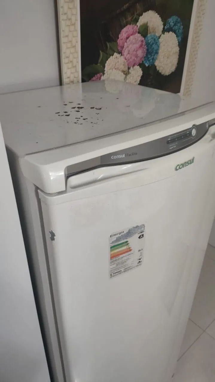 Geladeira Consul 300L - Foto 2