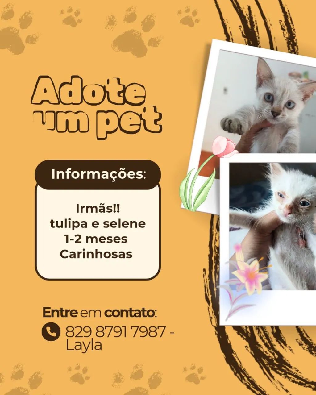 Adoção de irmãs! TULIPA E SELENE