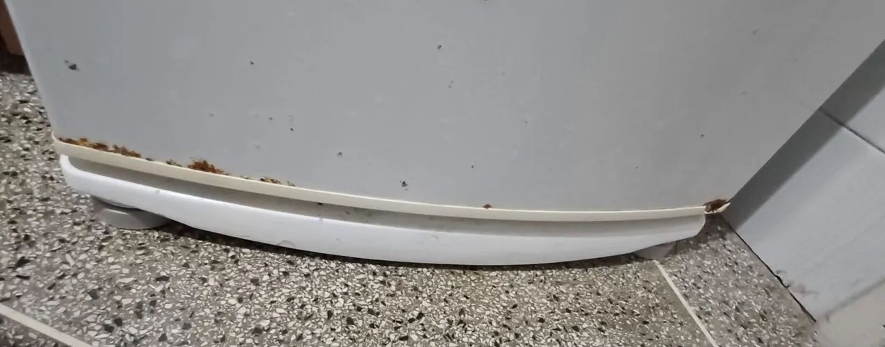 Geladeira Brastemp 340l - Foto 5