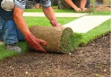 Jardineiro Limpeza e Conservação - Foto 5