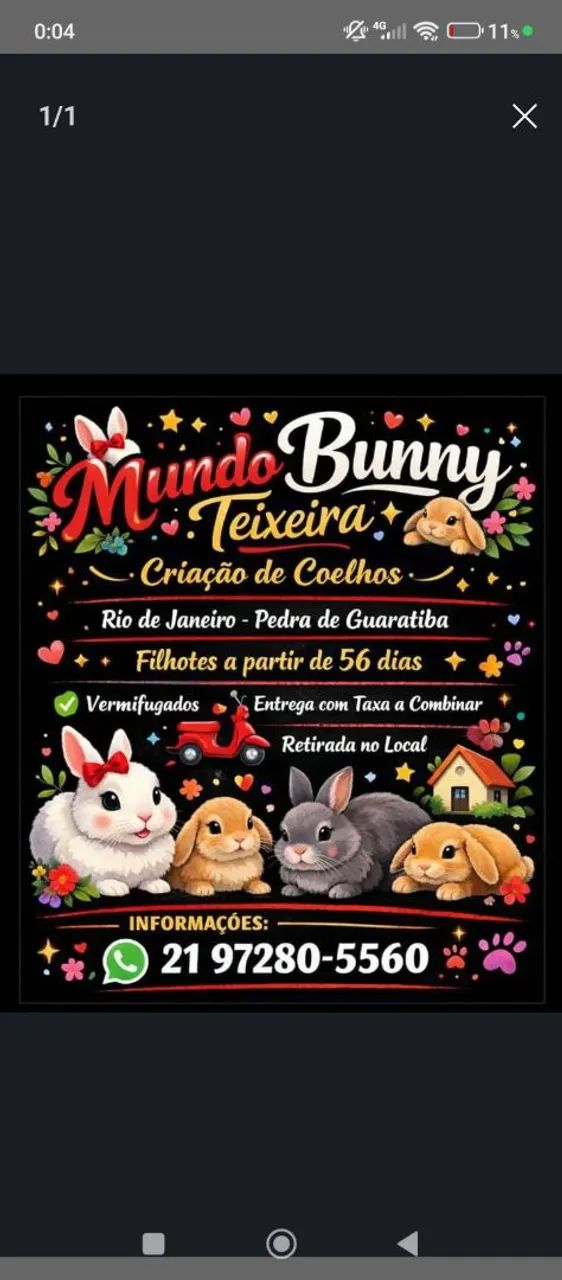 Coelhos