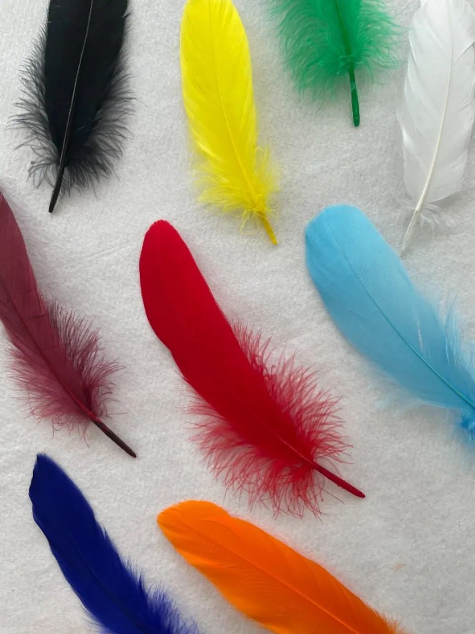 Pena de Cegonha - Foto 2