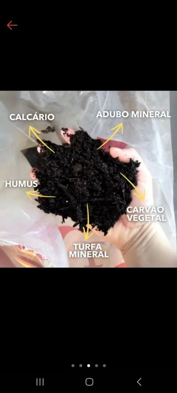 Terra vegetal  - Foto 2