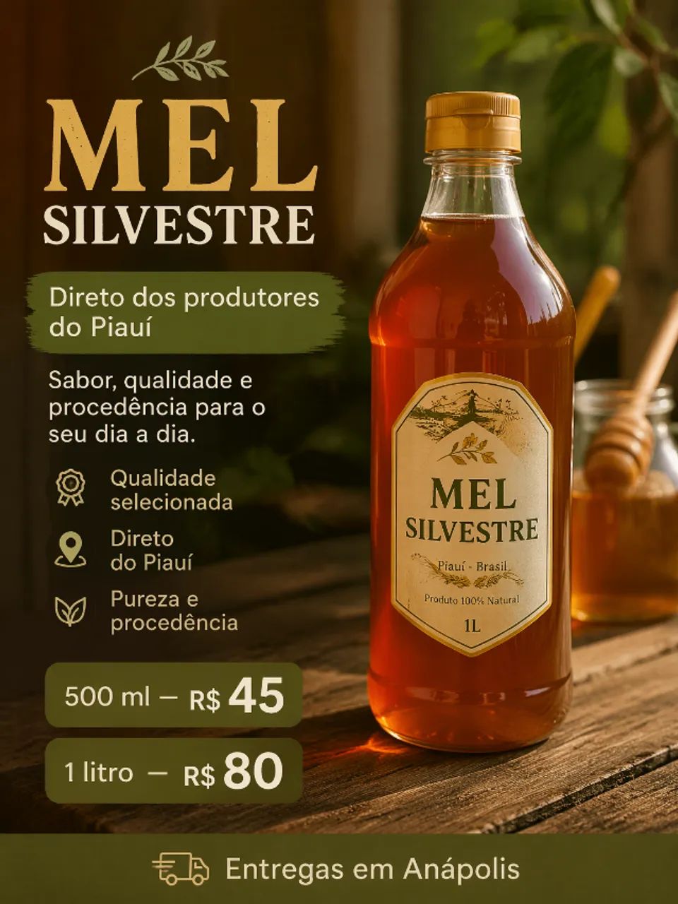 Mel Silvestre - Piauí - Foto 3