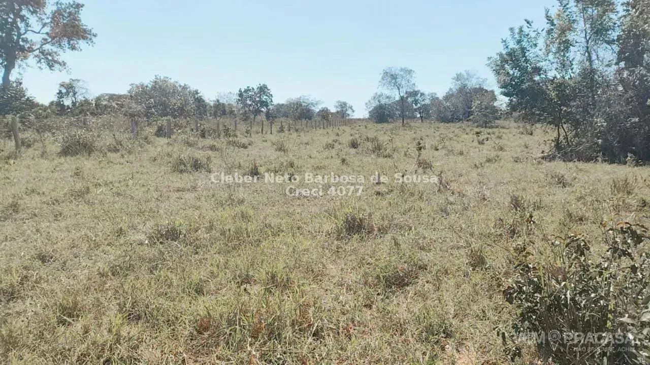 VENDO CHÁCARA EM ROCHEDO COM 25,5 HECTARES - Foto 3
