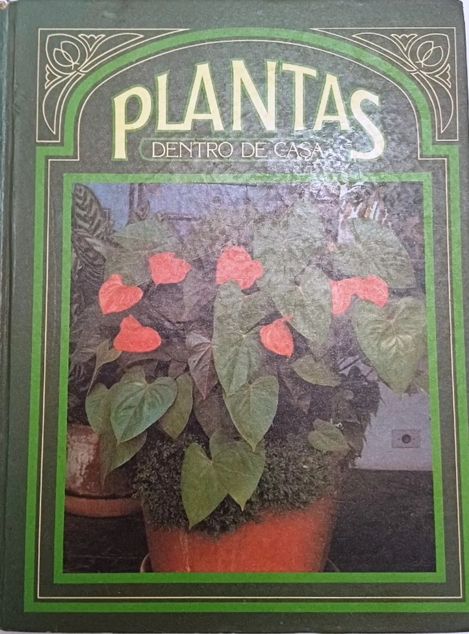 . plantas dentro de casa