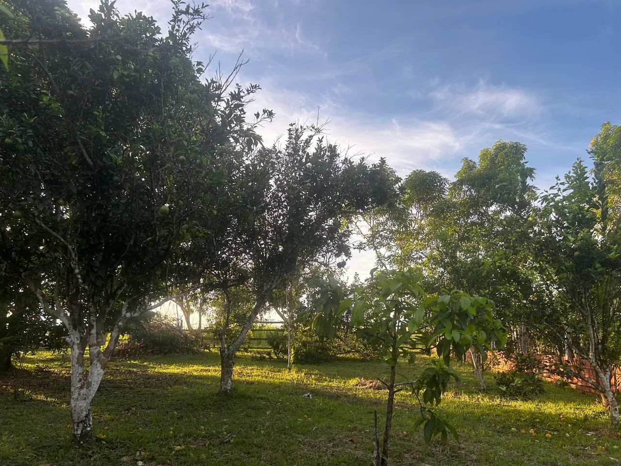 Venda ou troca - Foto 4