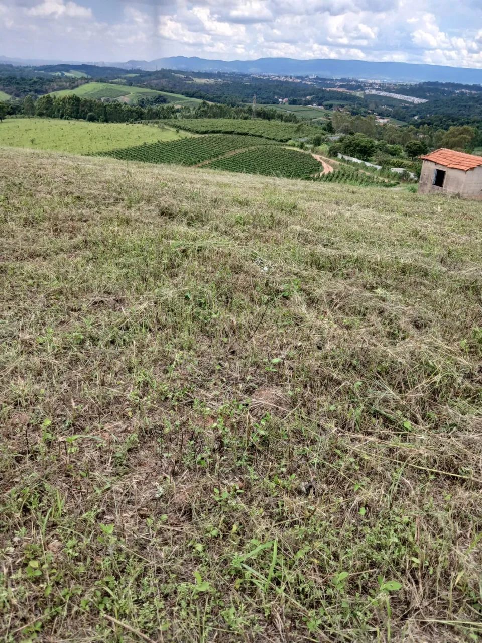 Foto - Louveira - 