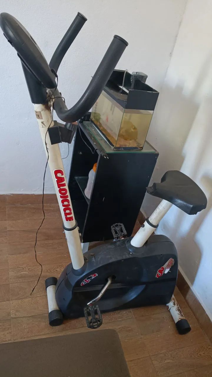 Bicicleta ergométrica precisa arrumar carga