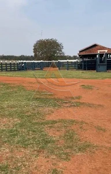 Fazenda - Marília - Zona Rural - Foto 3