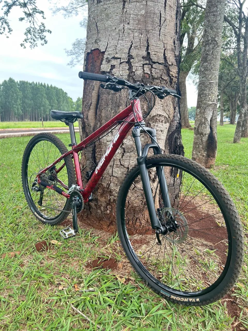 Bike aro 29