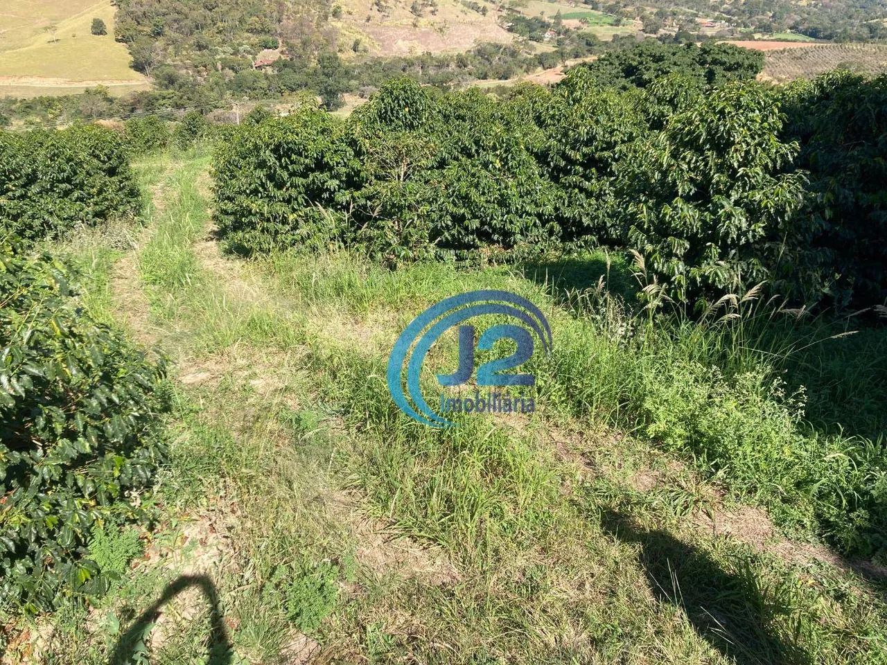 Sítio Espírito Santo do Pinhal/SP - Foto 5