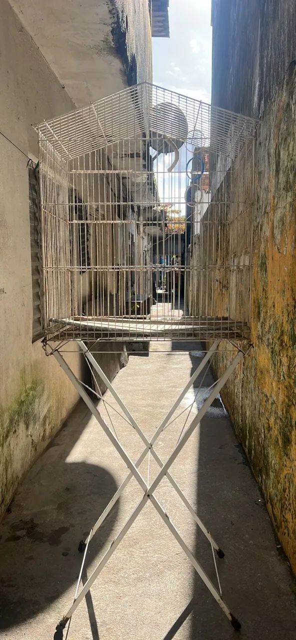 Viveiro - Foto 2