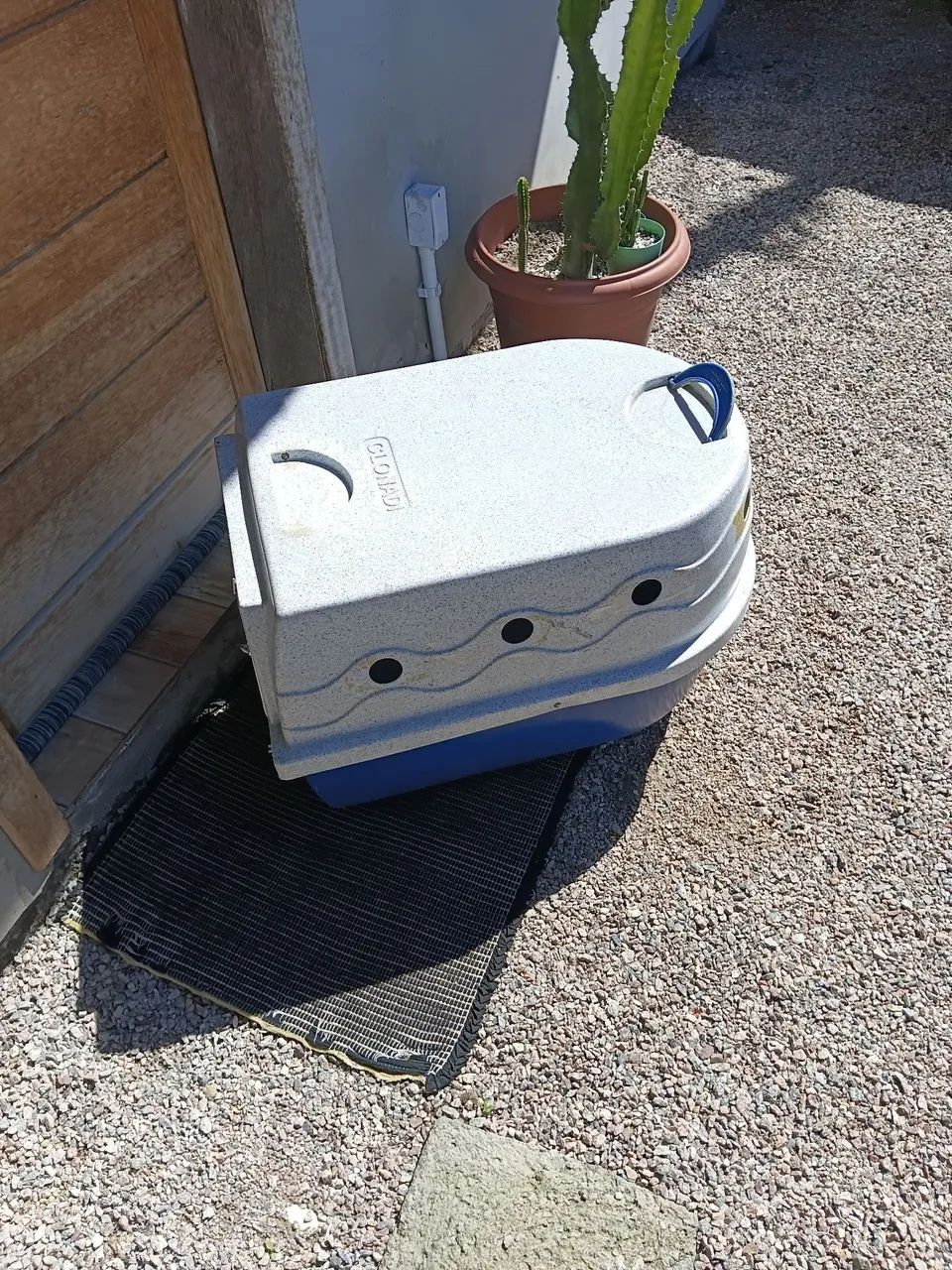 Caixa de transporte Pet 