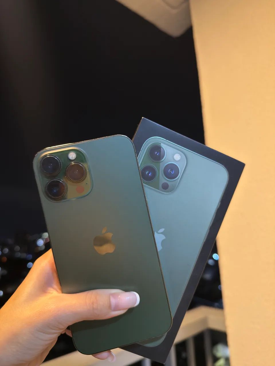 Iphone 13 pro max