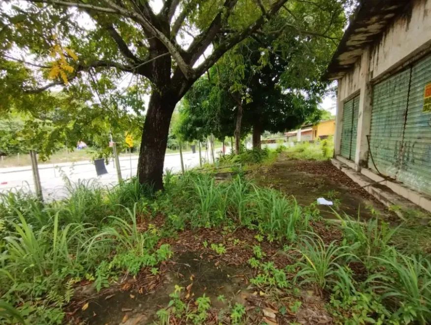 Lote para Venda em Cabo de Santo Agostinho - Foto 2