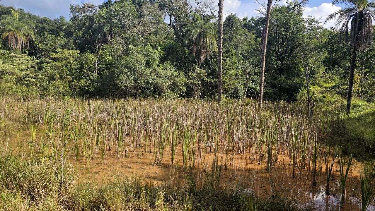 Área rural em serra azul mateus leme  - Foto 2