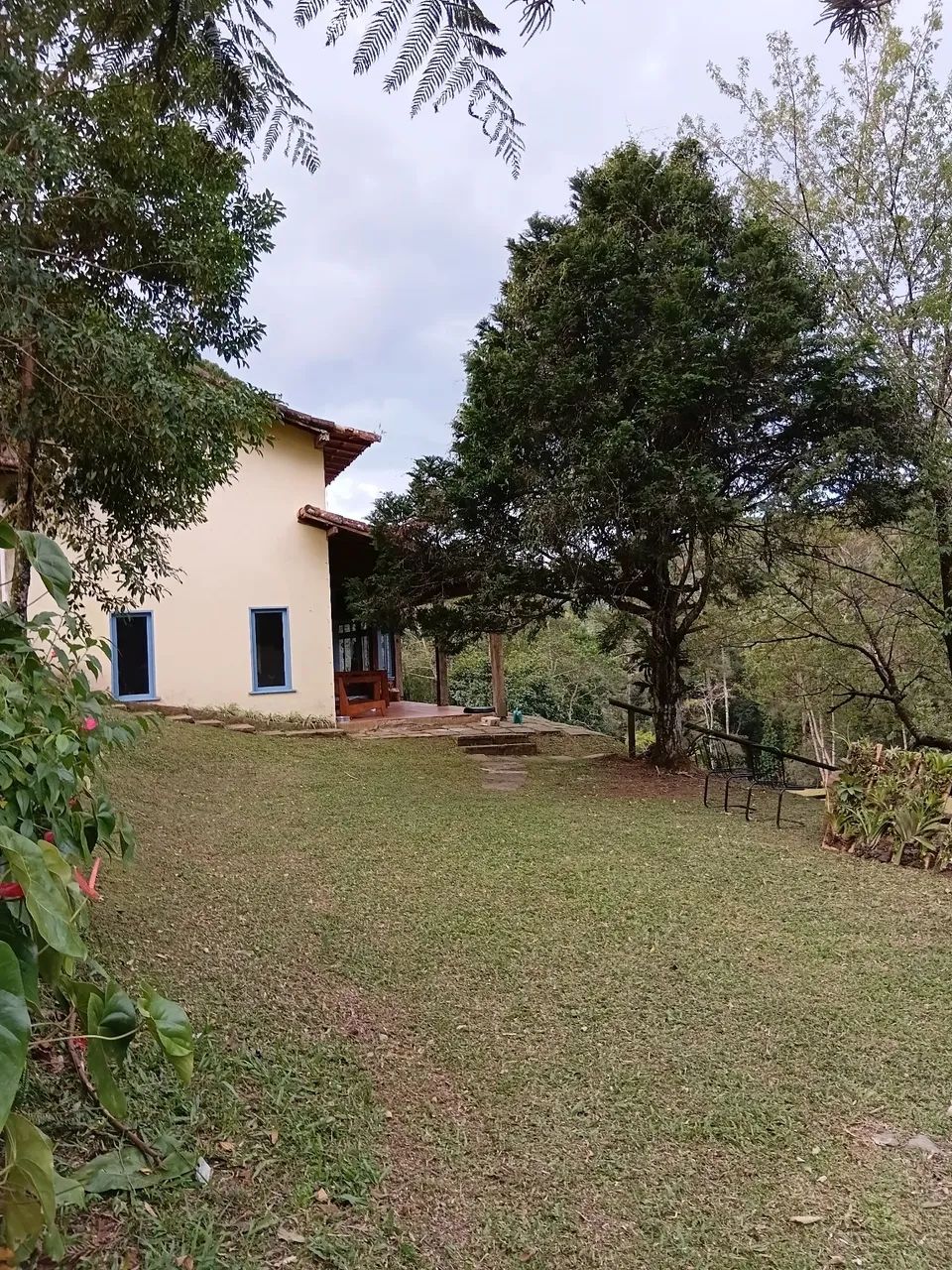 limpeza de terreno profissional  - Foto 5