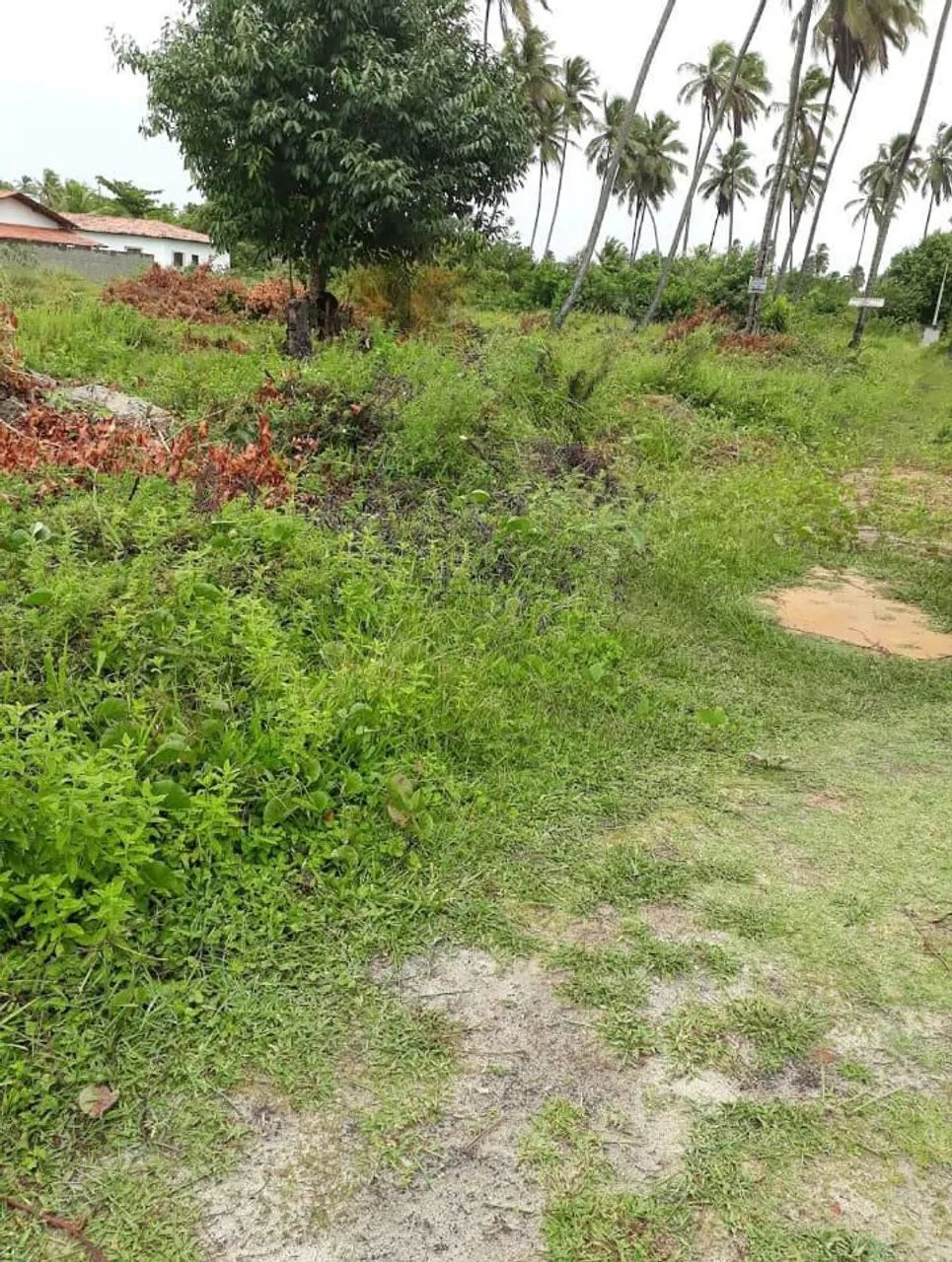 Oportunidade de Terreno em Lucena 