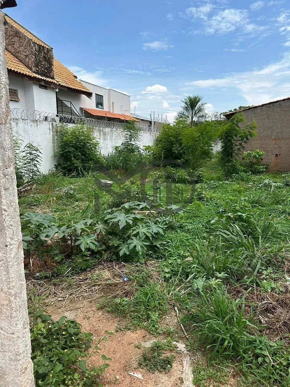 Terreno à venda, Bosque da Saúde, Cuiabá, MT - Foto 5