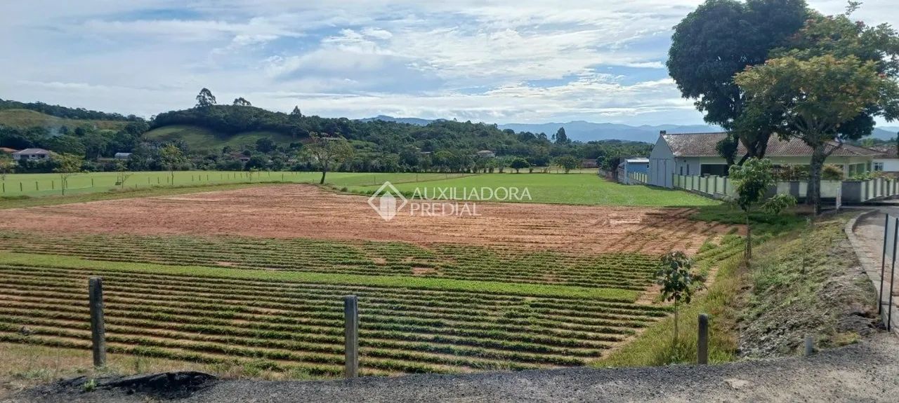 Área com excelente potencial em Biguaçu! - Foto 2