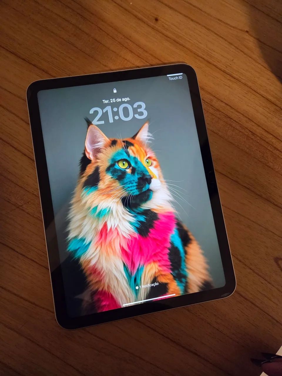 Ipad 10