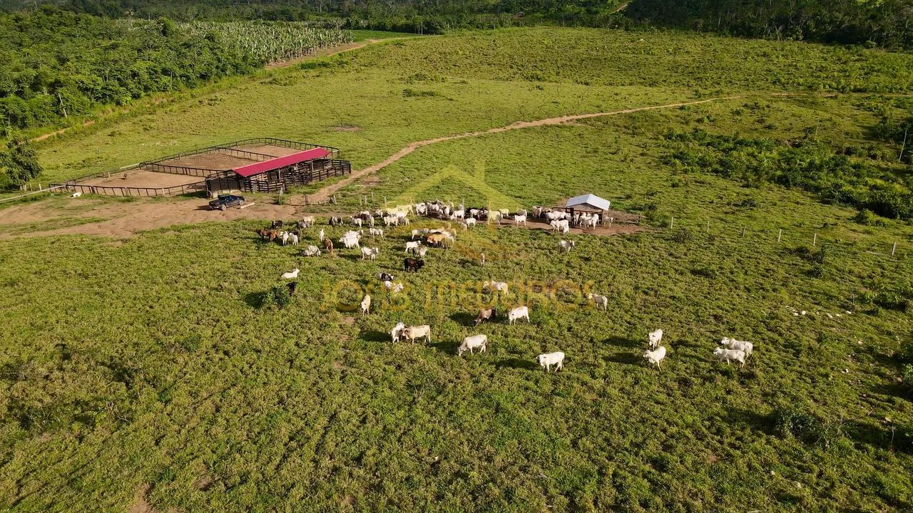 FAZENDA À VENDA - IRACEMA | CAMPOS NOVOS - RR / VENDA - Foto 3