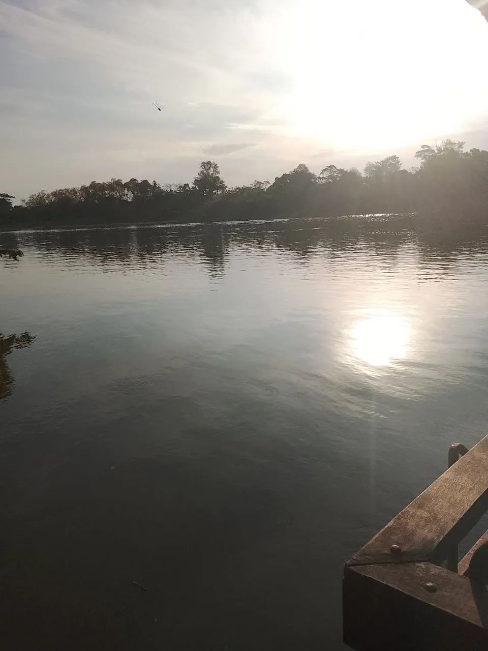 19 hectares  - Foto 2