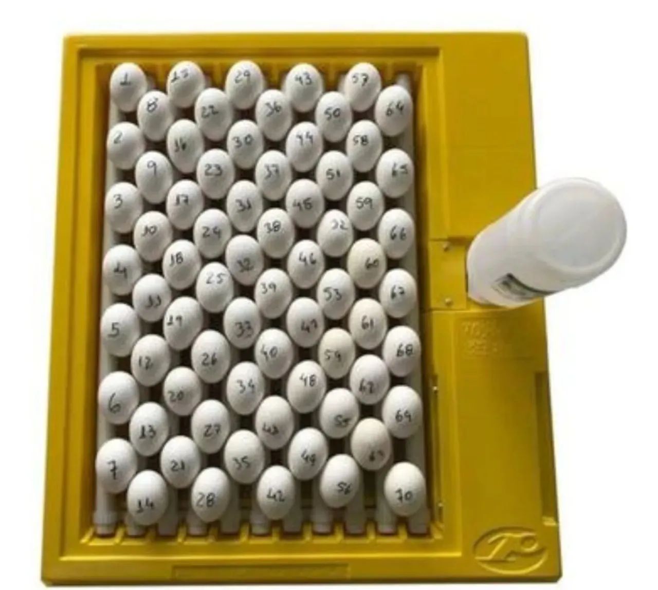 Chocadeira Premium Ecológica 70 ovos - Foto 3