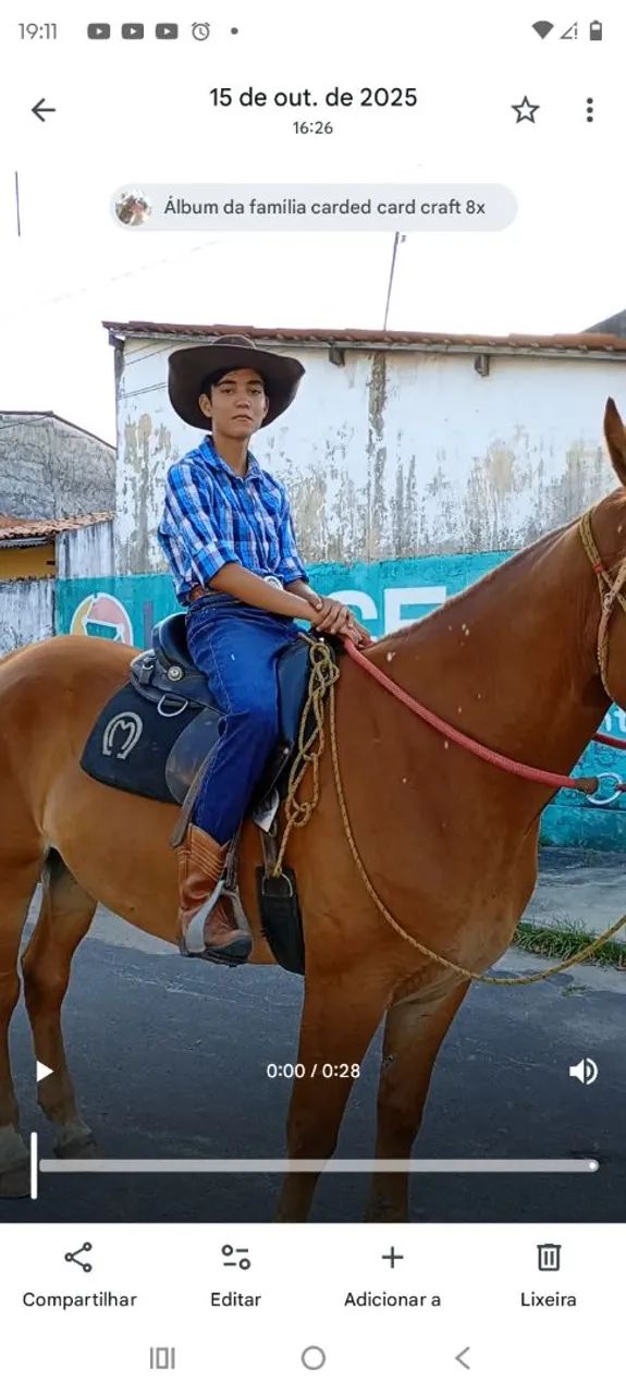 Égua QM x bretao  - Foto 5