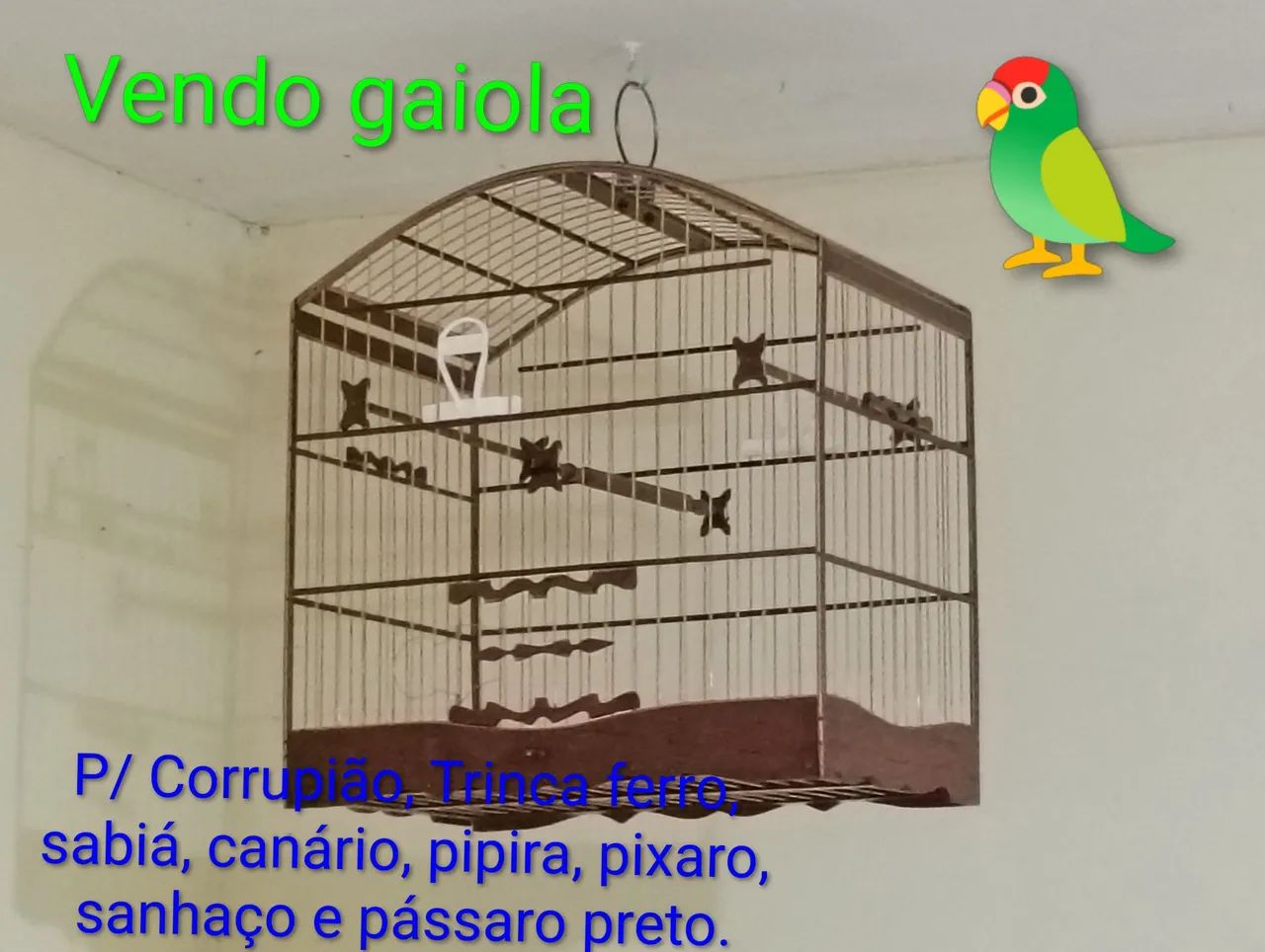 Gaiola  - Foto 2