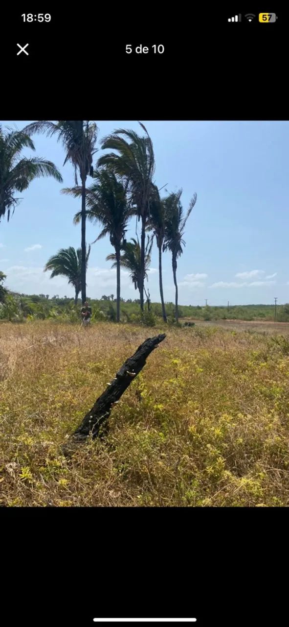 terreno praia  - Foto 4