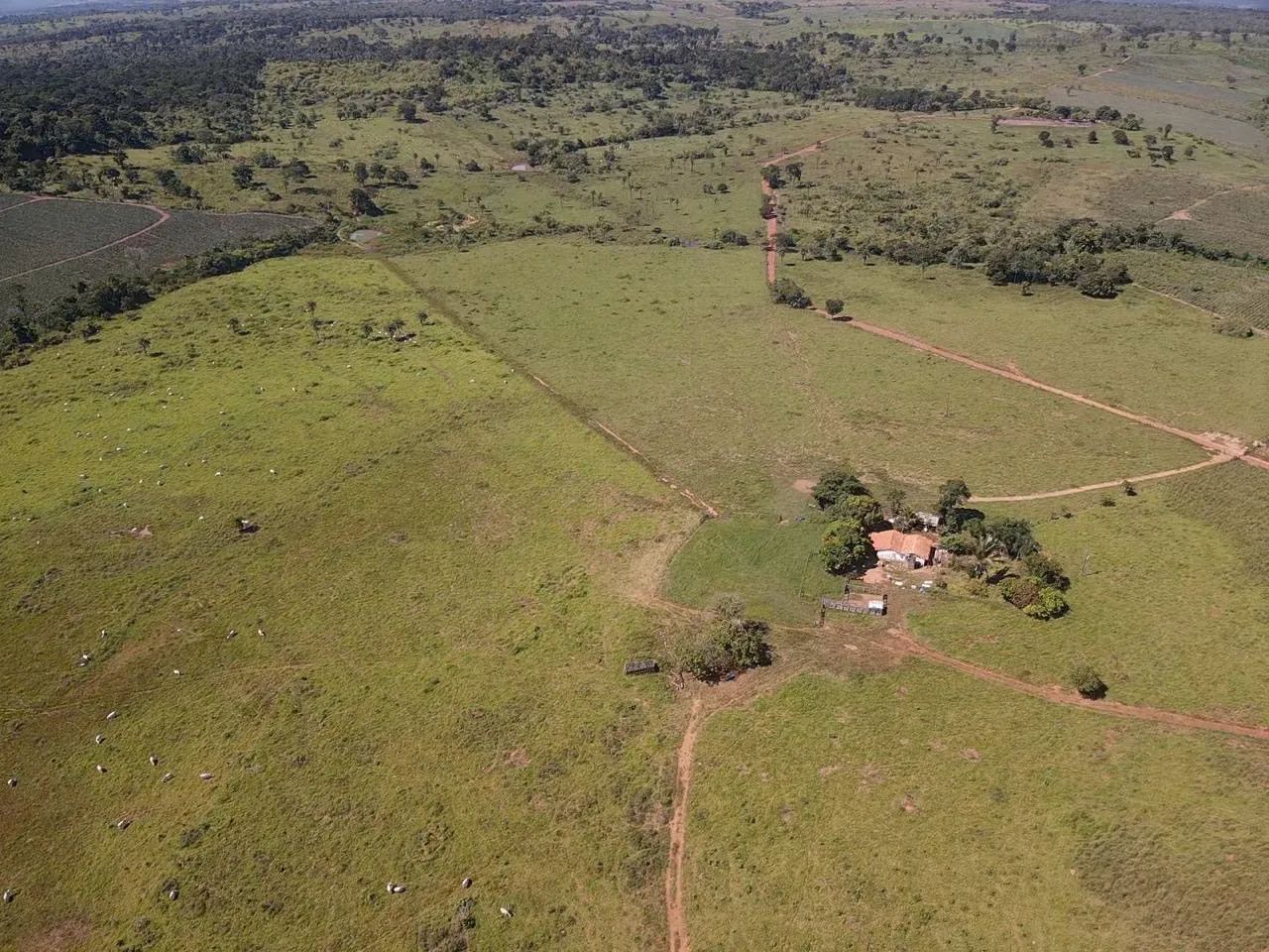 Fazenda - Foto 2