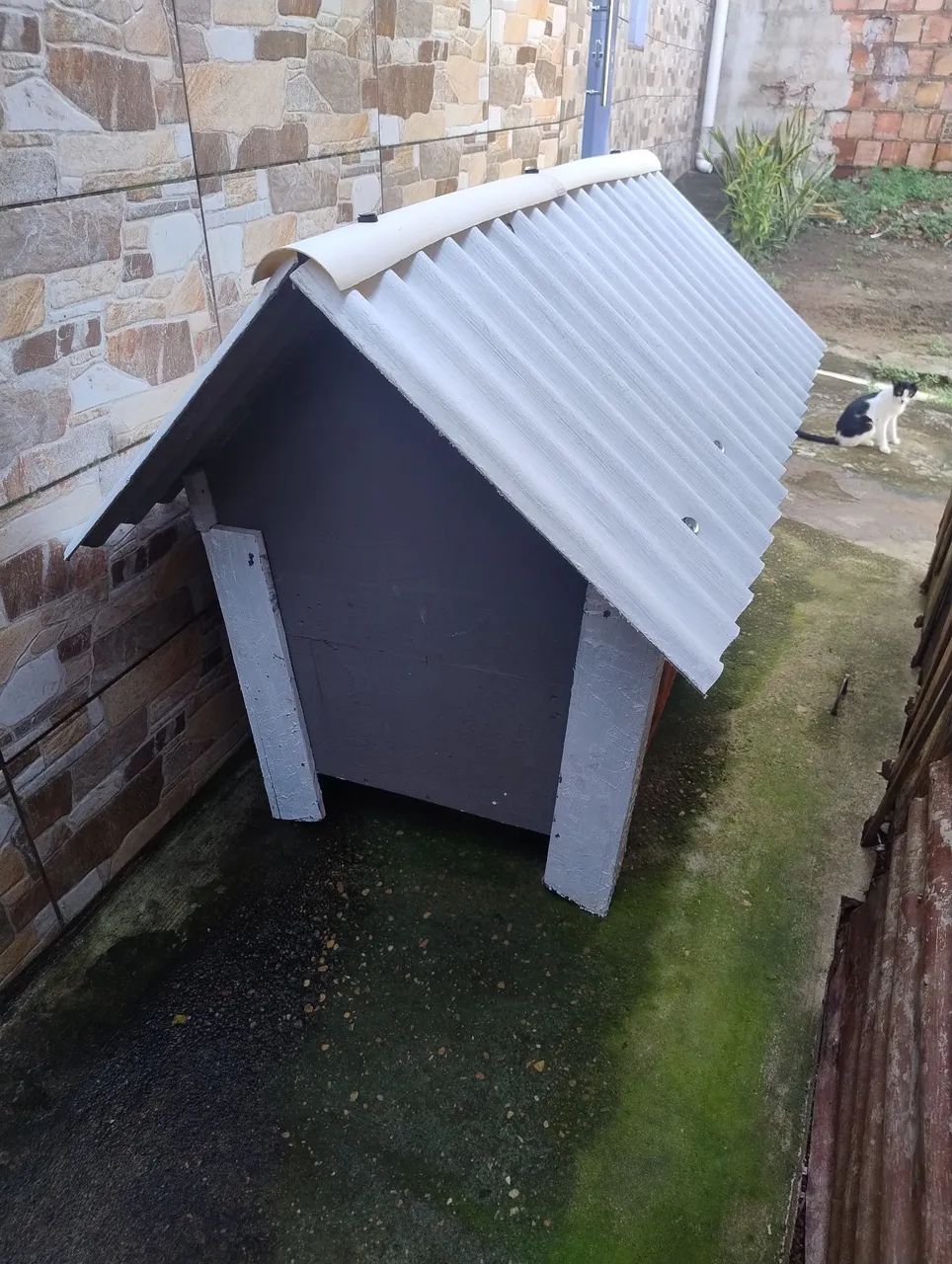 Casinha de cachorro  - Foto 3