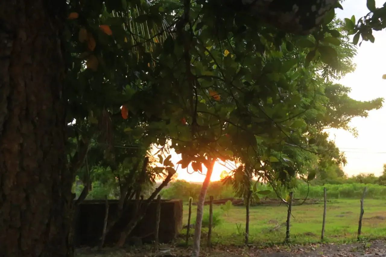 Áreas à venda, CENTRO, Itaporanga d'Ajuda, SE - Foto 5