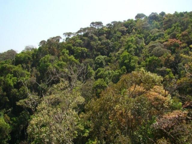 Fazenda, venda ou permuta - Foto 16