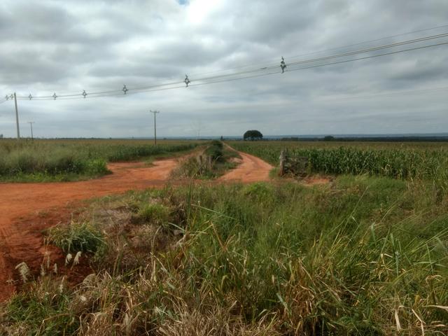 Fazenda. no Ms p Arrendamento de Lavouras 2650 há Show de Bola - Foto 3