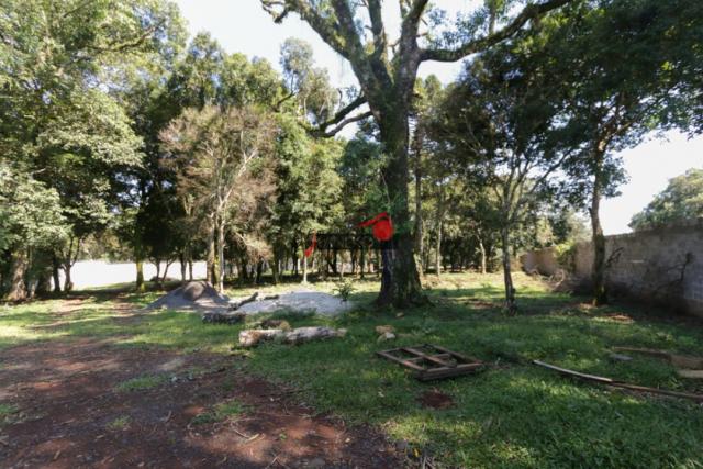 8287 | terreno à venda em industrial, guarapuava - Foto 4