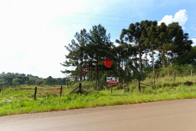 8287 | chácara à venda em guarapuava - Foto 5