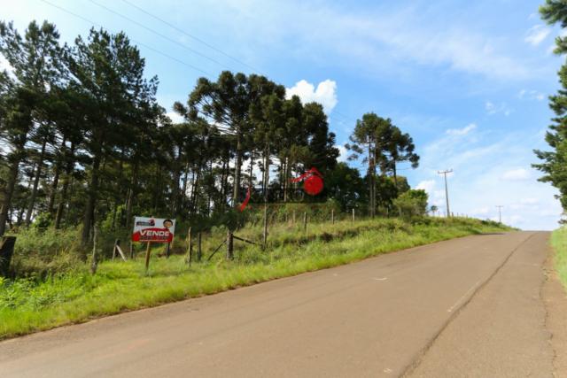 8287 | chácara à venda em guarapuava - Foto 7