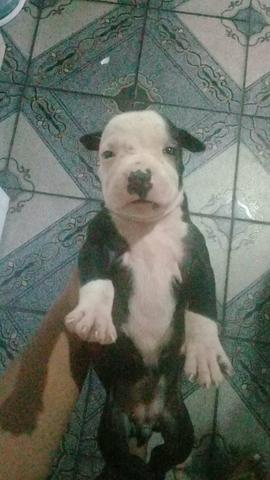 Vendo ou troco