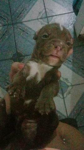 Vendo ou troco - Foto 4