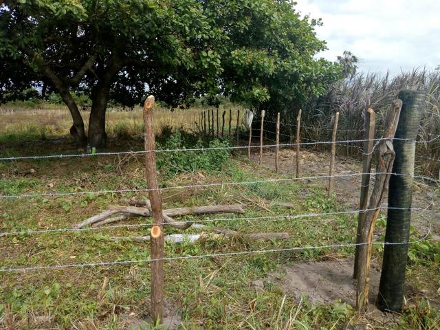 Terreno horizonte