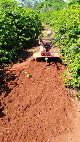 Moto Cultivador - Foto 2