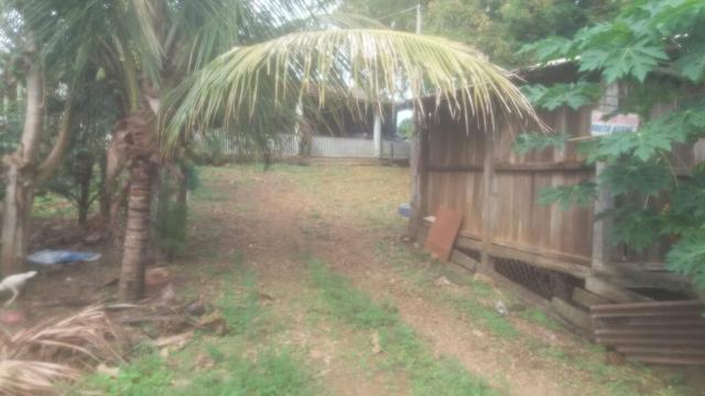Vendo excelente chácara!!! - Foto 2