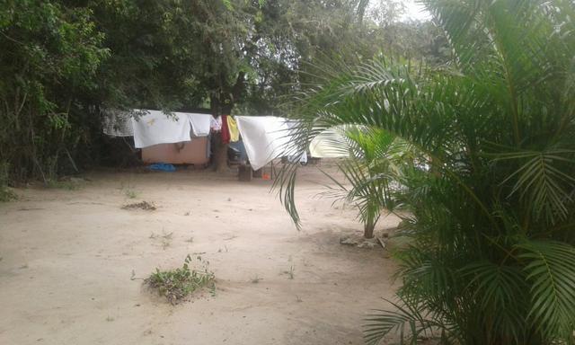 Chacara - Foto 2