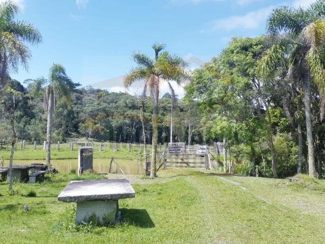 Fazenda no Taquari, Bocaiuva do Sul/PR - Foto 17