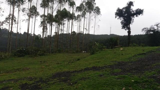 Fazenda Rio Pequeno, Campina Grande do Sul/PR - Foto 17